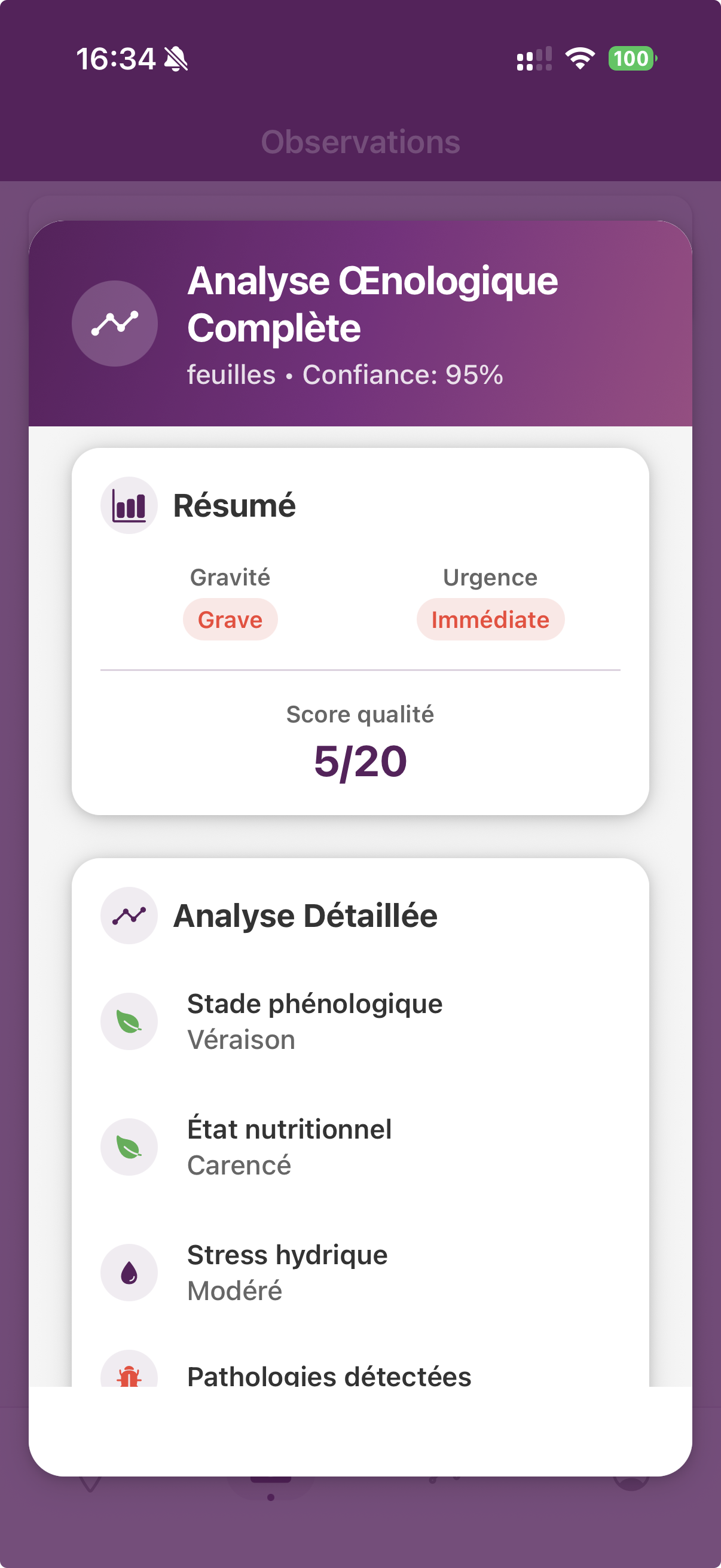 Ajout de photos et analyse IA