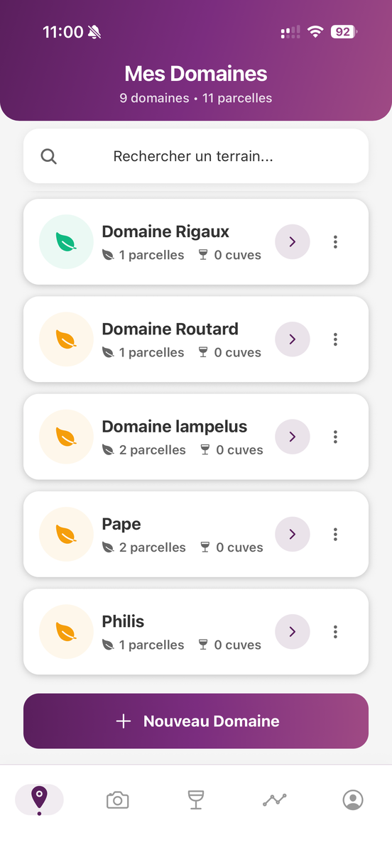 My Domains Page - New Domain Button