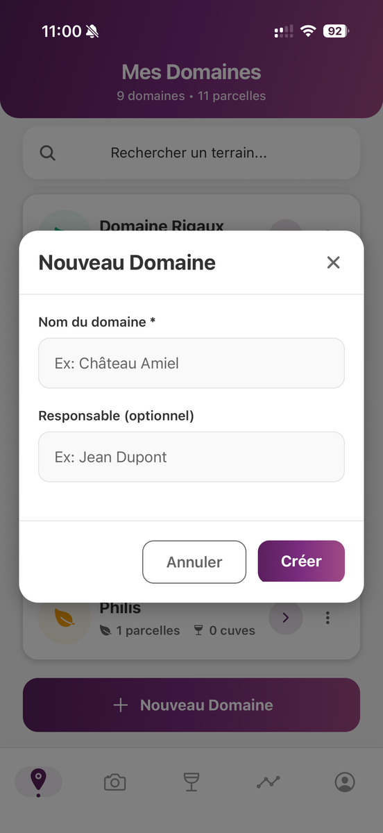 New Domain Modal - Creation Form