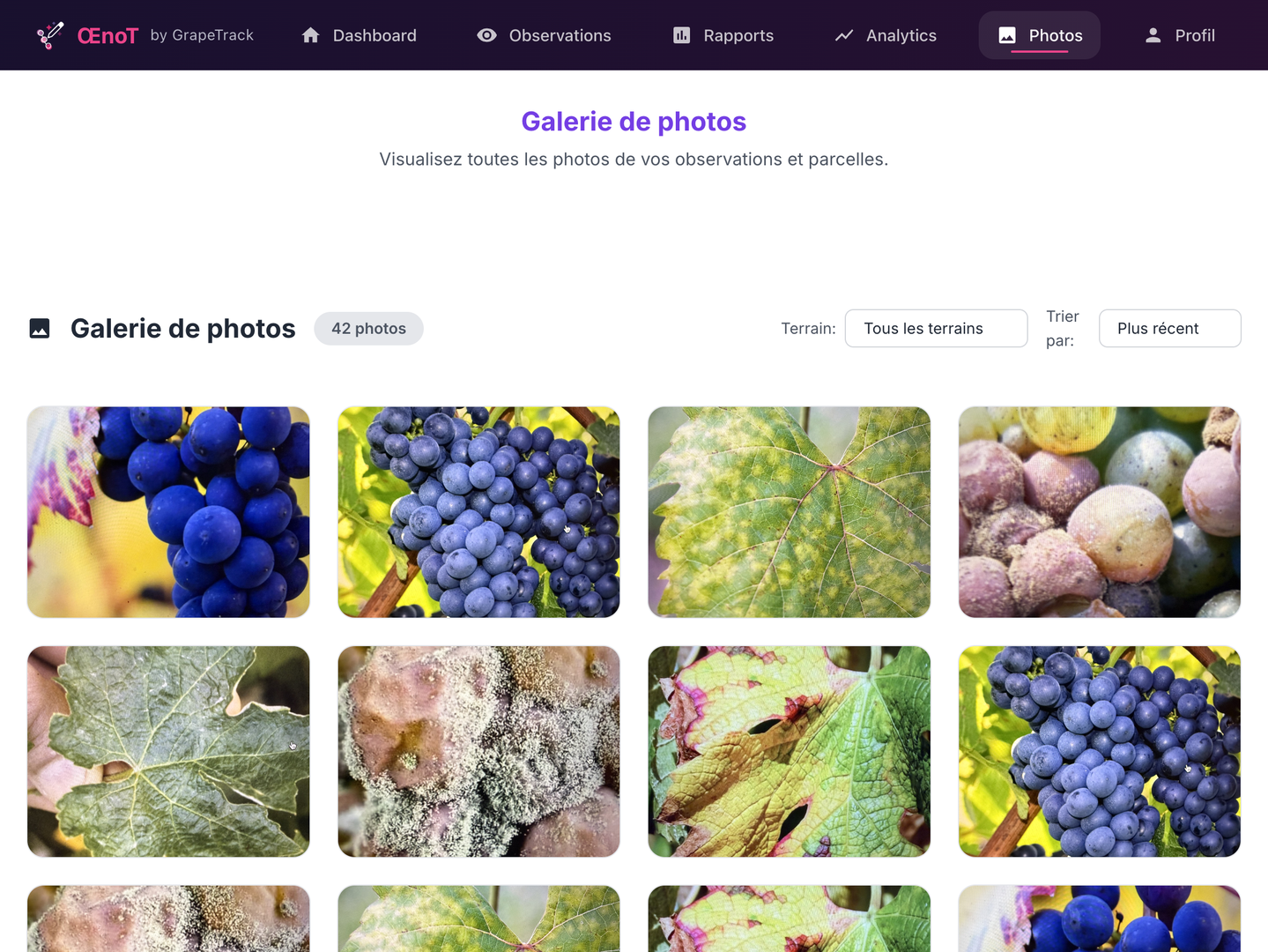 Galerie de photos - Toutes les photos des observations