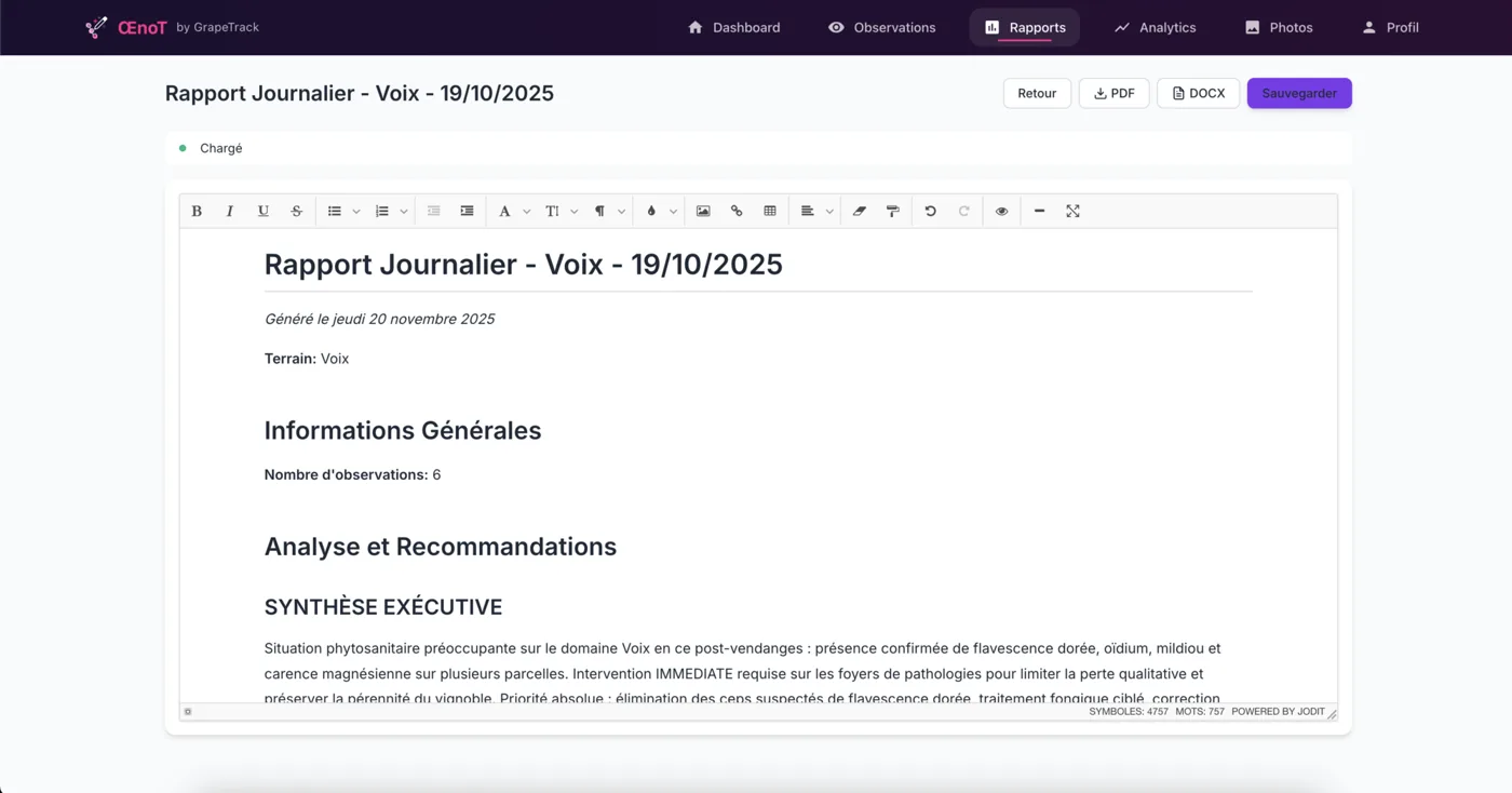 Ejemplo de informe PDF de ŒnoT